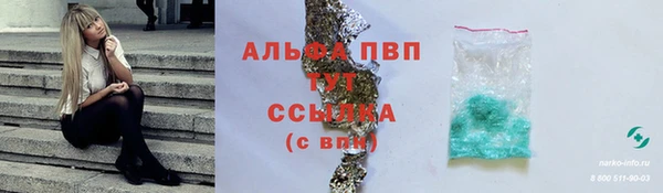 мяу мяу мука Баксан