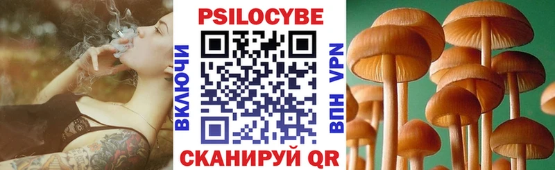 купить наркоту  Льгов  Галлюциногенные грибы Psilocybe 